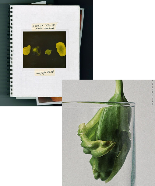 Algae sample in glass